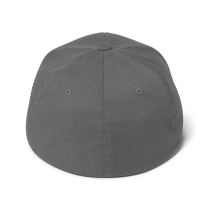 closed back structured cap grey back - basquaredfitness