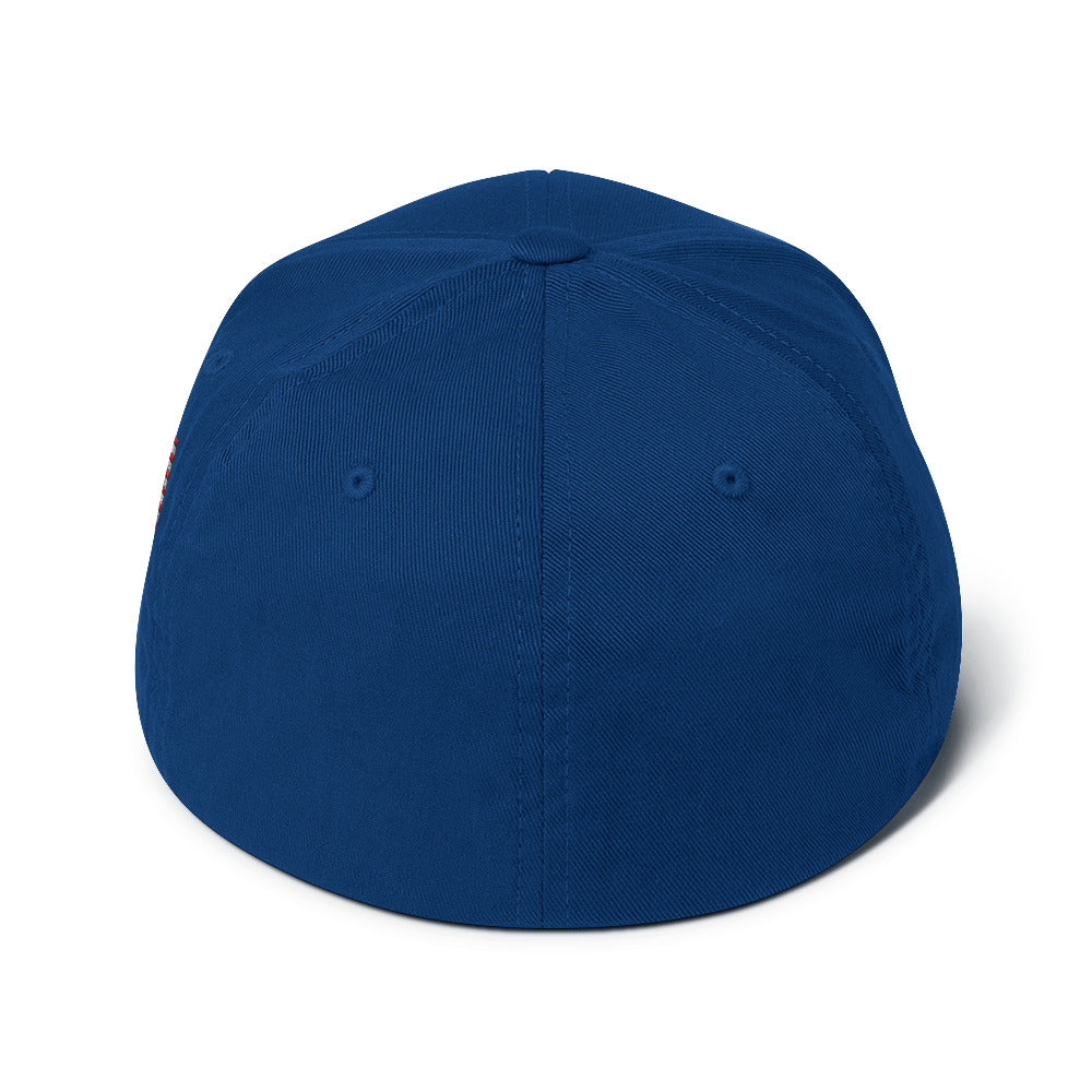 closed back structured cap royal blue back - basquaredfitness